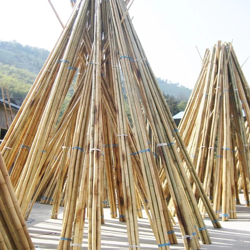 High quality Bamboo canes Tonkin Bamboo Poles Bamboo Stakes 120CM