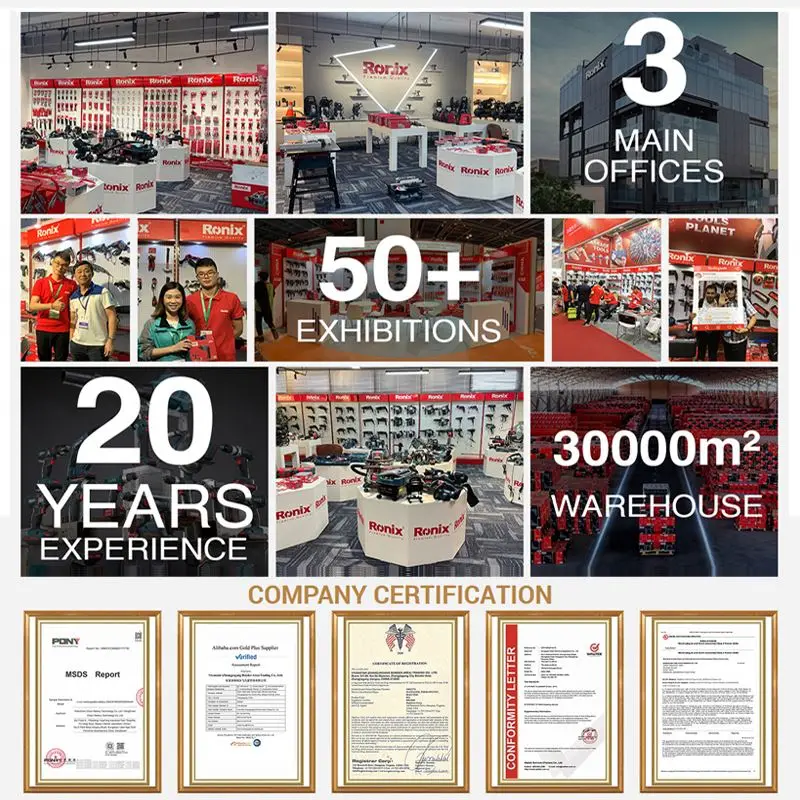 Ronix RH-6020 Battery-Powered Long Battery Life Adjustable Nozzles Durable Construction Versatile for Gardening Sprayers