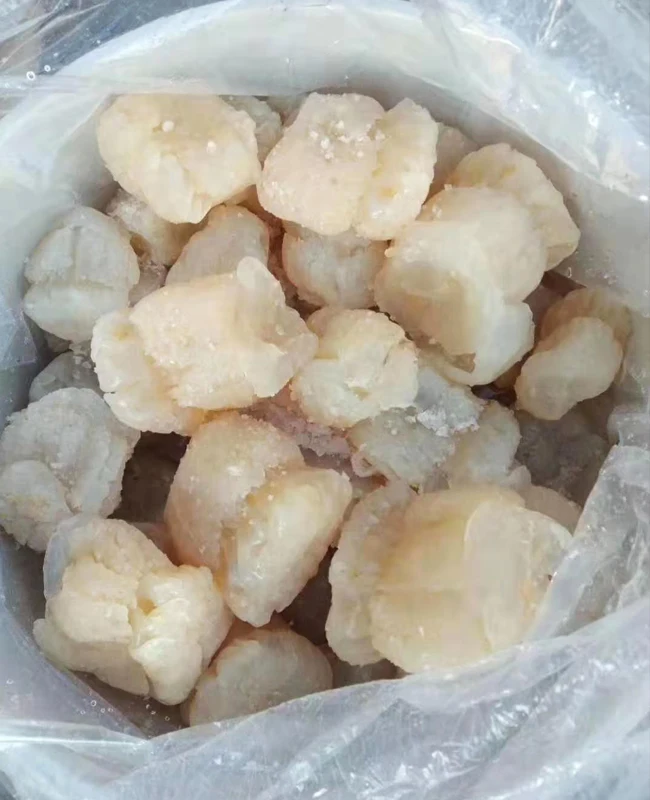  Мексиканская соленая Медуза