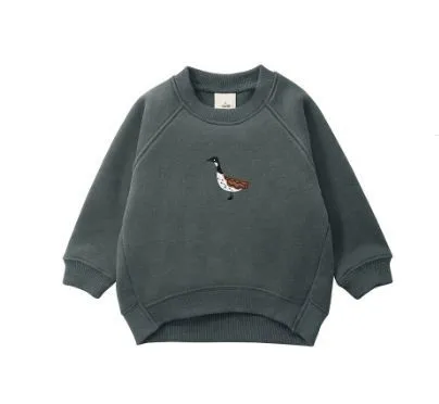 
Boys hoody Autumn winter wholesale custom embroidery thick french terry sweatshirts for kids 