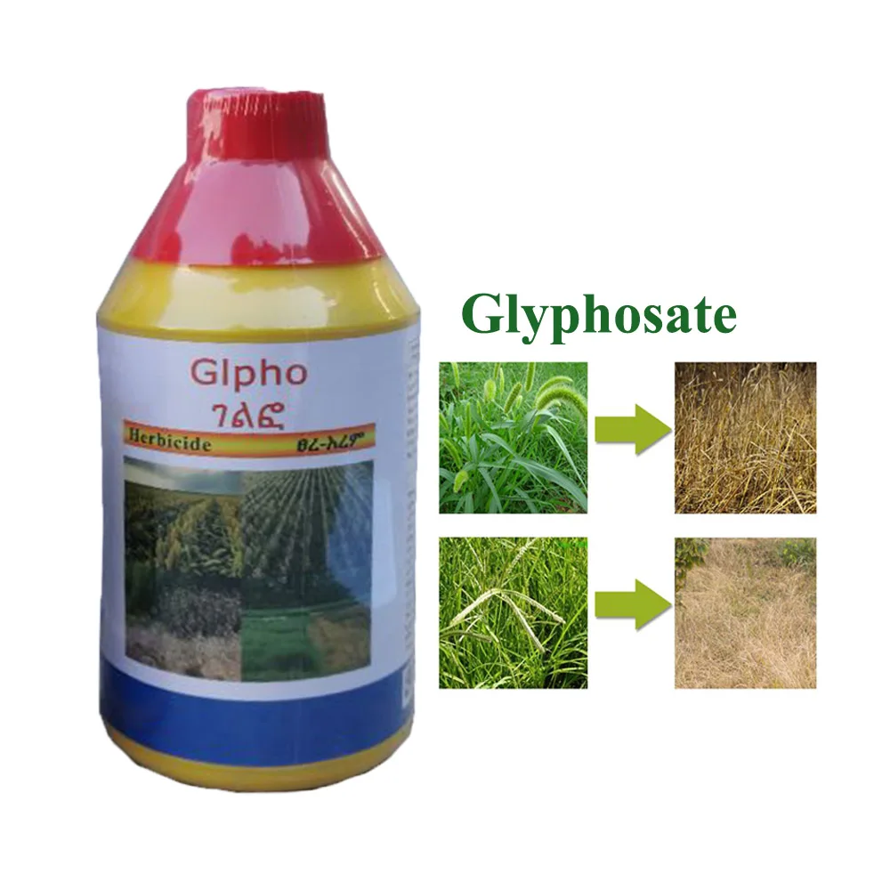 Наиболее популярные гербицида глифосата IPA 480 г/л SL глифосат 48% SL