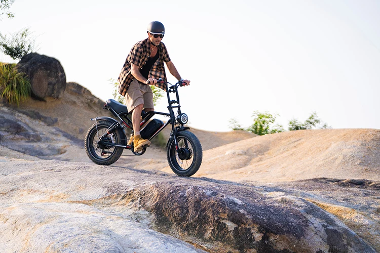 USA UK EU Warehouse 1000W Electric City Bike Adult Cheap Fatbike Long Range Electric Bike 20inch E Bicycle