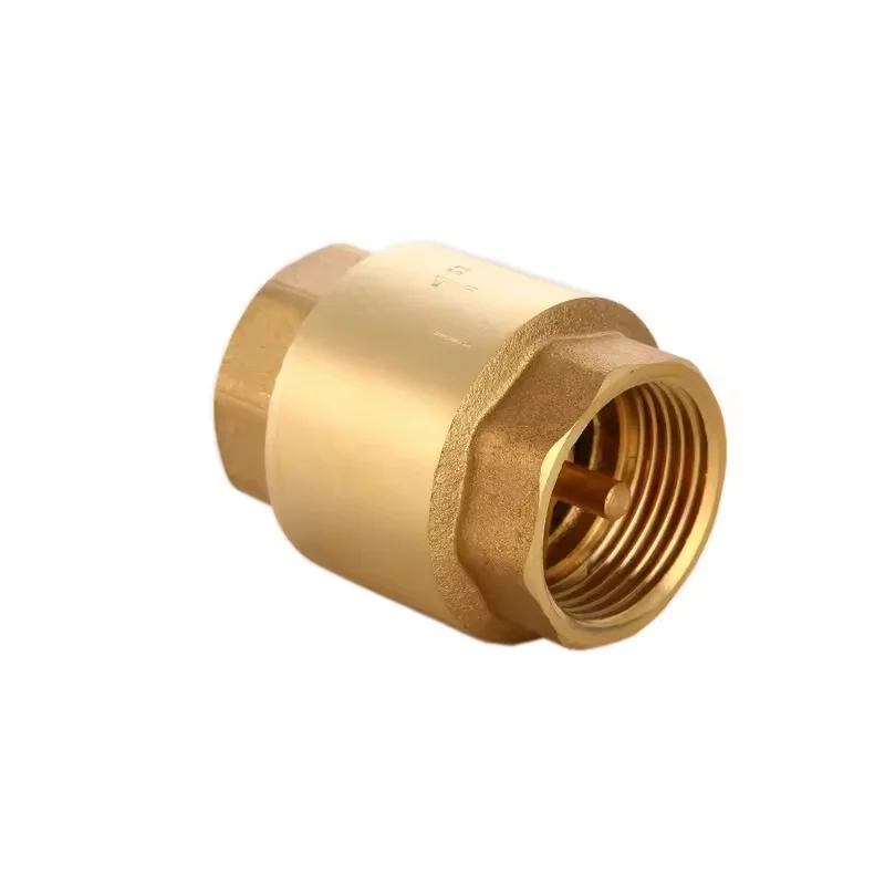 Factory Price 20mm 25mm 1.6Mpa Vertical Brass Check Valve