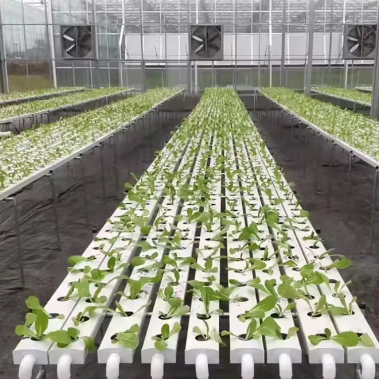 and vertical greenhouse complete nft hydroponic system round pipes aquaponic nft end 10x10 hydroponic system