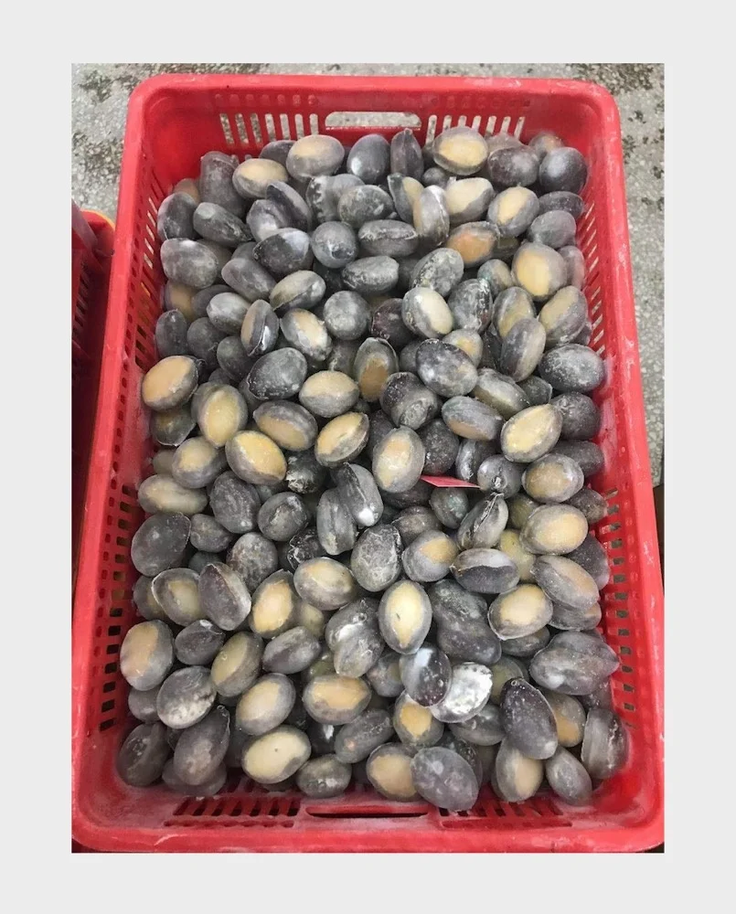 Frozen Cooked Abalone For Sale