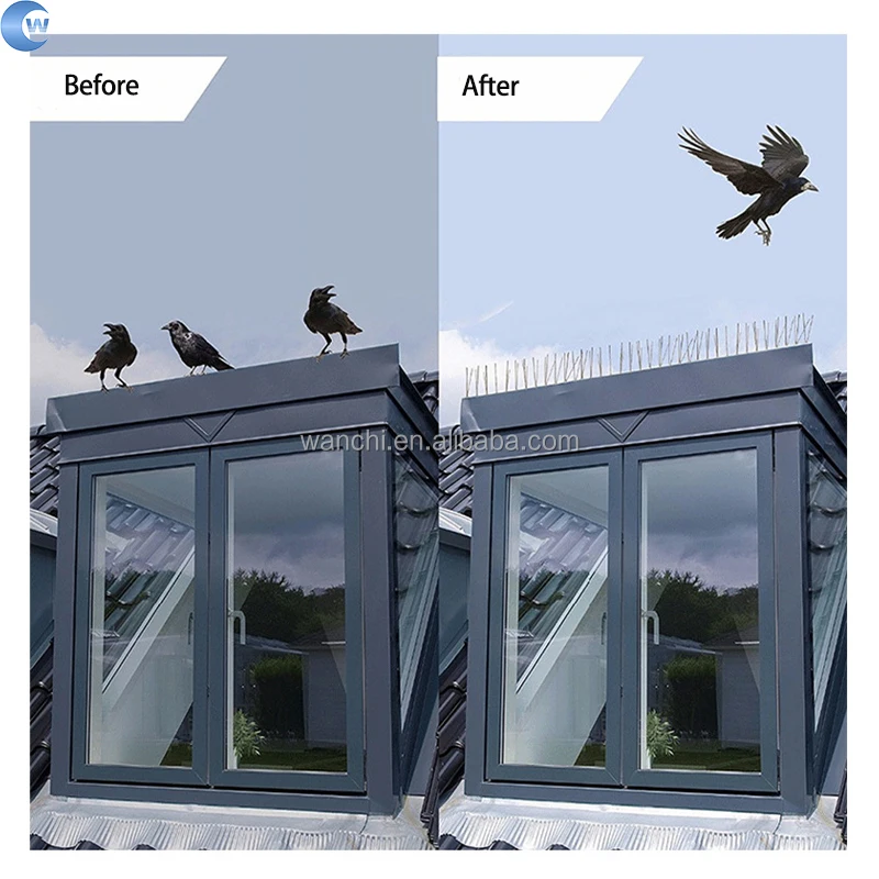 Professional Plastic Bird Spike anti pigeonstainless steel thorn 50cm 20/40/60 nail bird control nail bird spike