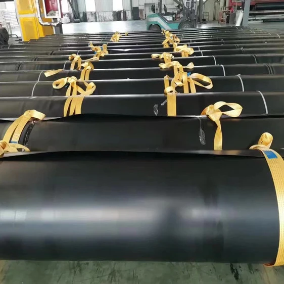 HDPE geomembrane is used in biogas digester