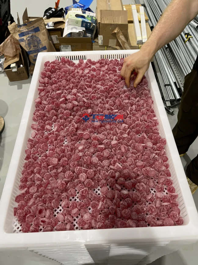 automatic advanced Jam-filled jelly candy processing equipment gummy bear candy making depositor machine