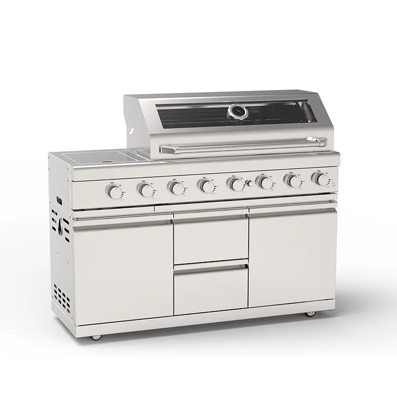 Stainless Steel Mobile Outdoor Bbq Gas Grill Gas Barbeque Grills For Skewers And Side Burner