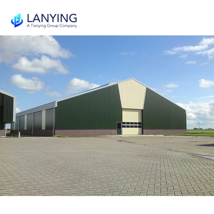 Large span prefab commercial steel structure hangar workshop building steel structure warehouse construction prefabricated