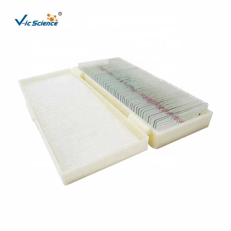Slides Of Biology And Pathology Prepared Microbiological Bacterial Specimens Microscope Slide Set with Plastic