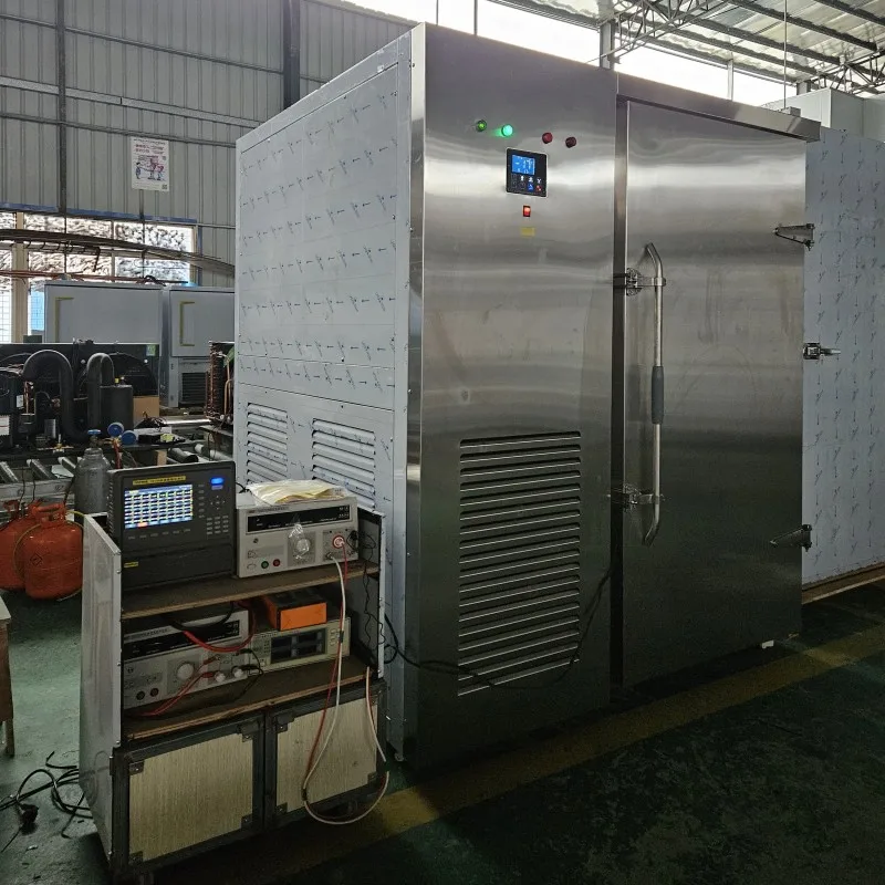 Single Temperature 200Kg/H Customized Iqf Tunnel Freezer/Industrial Iqf Blast Freezer For Fish/Shrimp/Seafood With CE