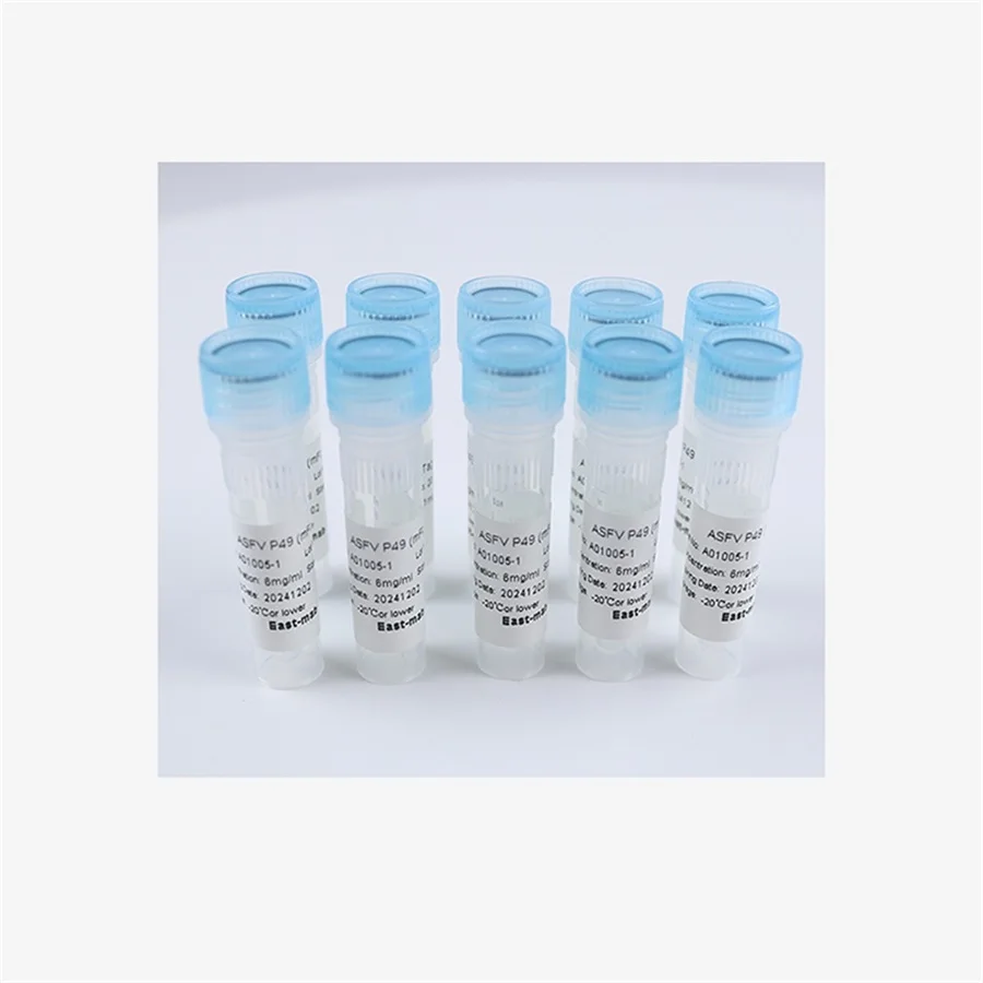 Highest Quality  Mechano Growth Factor Somatomedin-C Recombinant LR3-IGF (hFc Tag)