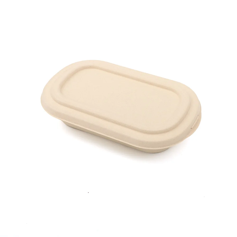 Biodegradable Bamboo Food Tray Disposable Takeaway Lunch Box with Compostable Lid for Parties and Food Containment