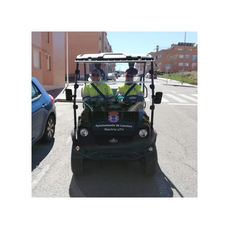 Hot selling 5 kw UTV electric ATV utility vehicle buggy