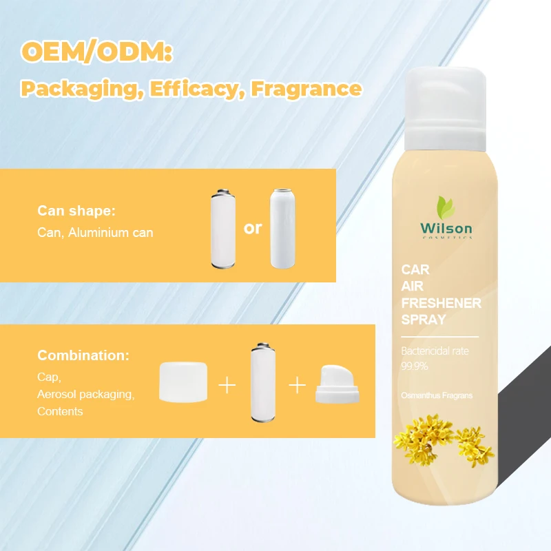 Free sample good quality  car air freshener spray  high performance Aerosol car freshener spray deodorant with refresh
