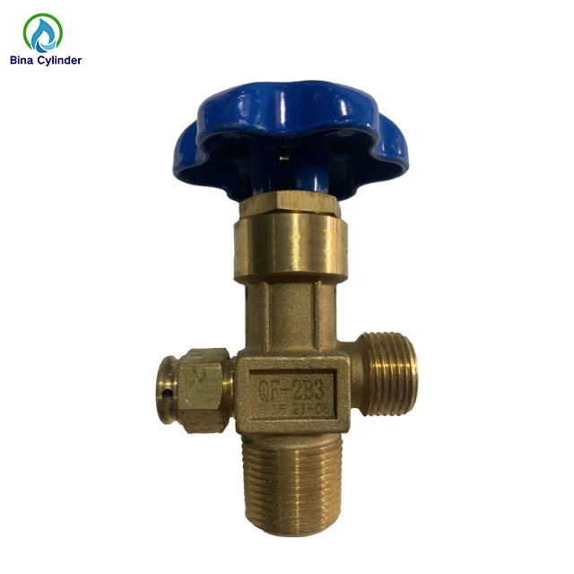 China LPG Vapor Equalizing Valves for Small Big Middle Size Cylinder