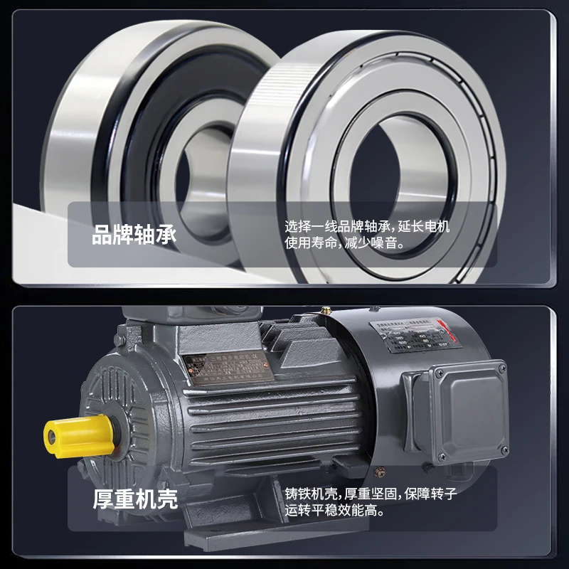 High efficiency Cast iron 100% copper wire Three-phase asynchronous motor AC variable frequency motor for wholesale