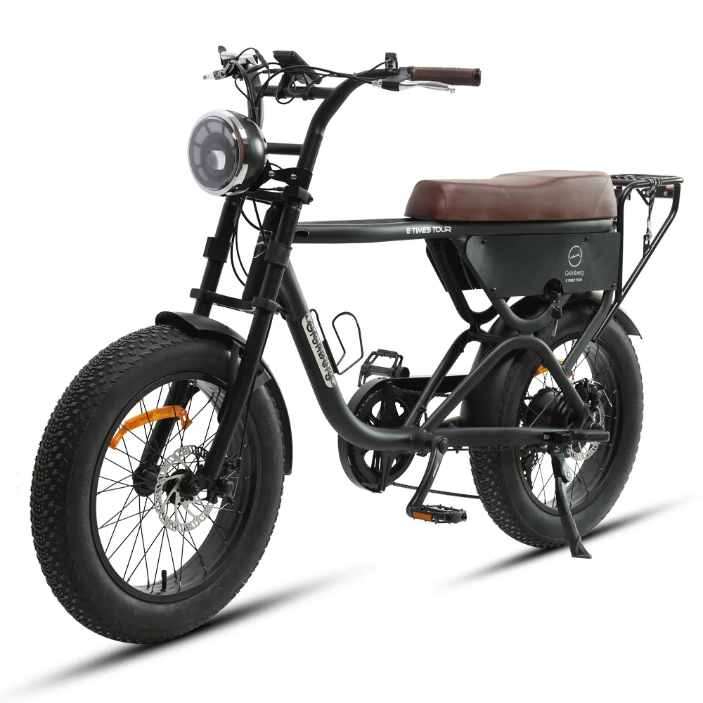 TXED electric motors for bikes 7 speed Alloy frame Customization motor Power 250/500/750W fat tire electric hybrid bike