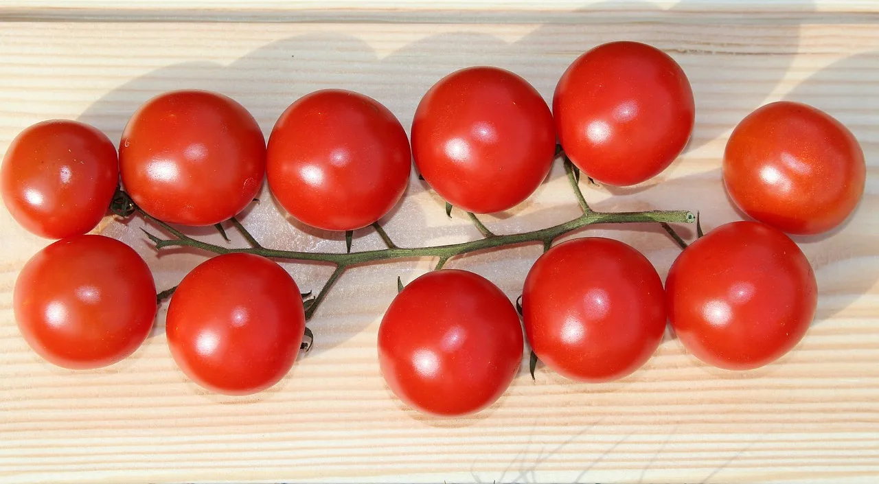 Greece HOT sell Fresh Tomato sweet  Natural red  Best quality wholesale thailand fresh tomatoes
