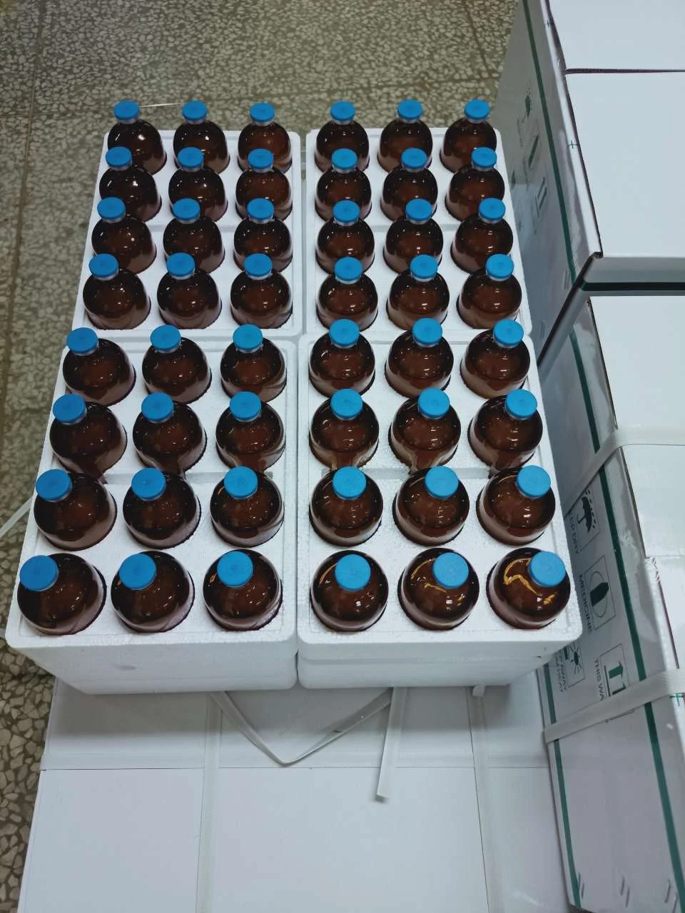 
Soocom Pigeon Antibiotic Florfenicol Veterinary Respiratory Injection 30% 