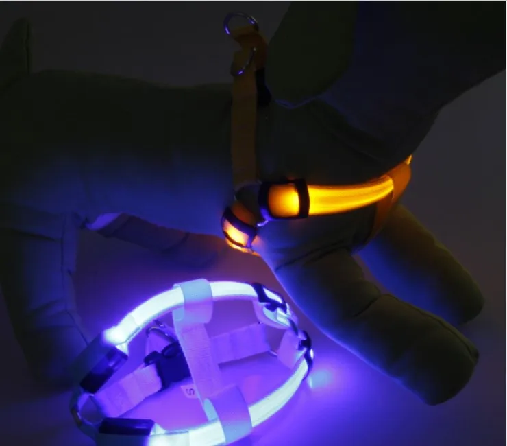 Дизайнерский собачий ошейник