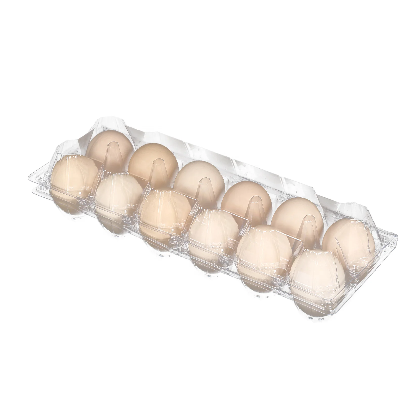 [Not Eggs Sale] Plastic 12 Cells in 2*6 Jumbo Chicken Eggs Carton in Wholesale Recyclable for Duck Eggs