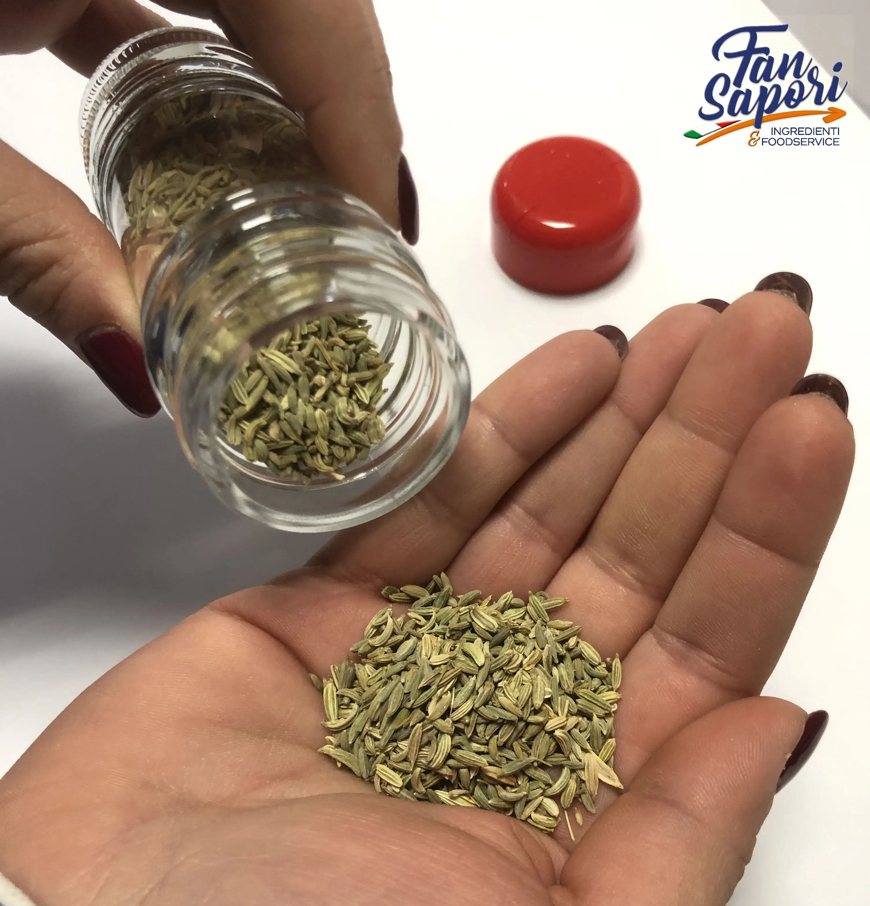 Best Delivery 2 Years Green Organic Fennel Seeds Spices