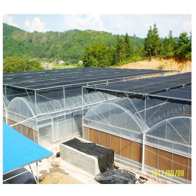 
Agriculture multi-span 200 micron plastic film tomato hydroponic greenhouse 
