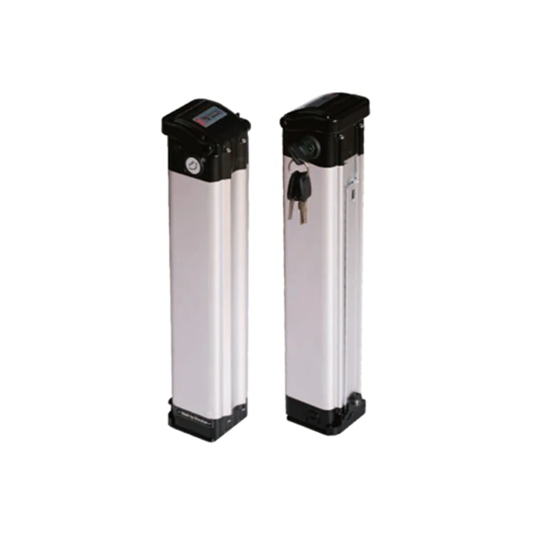 Rechargeable Silver Fish Electric Bicycle Battery Long-life Lithium-ion Battery