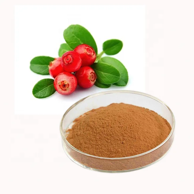 
Natural Active Ingredients Uva Ursi Leaf Extract powder arbutin 99% Leaf Extract Powder 10:1 20:1 