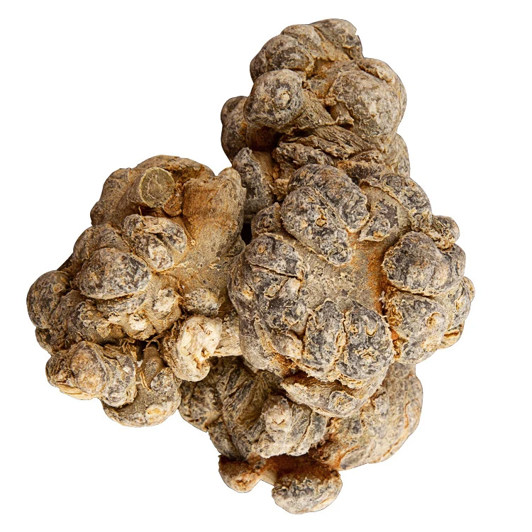 Chinese Natural Herbal Dried Sanqi Root Raw Panax Notoginseng/Pseudo-Ginseng in Block Shape
