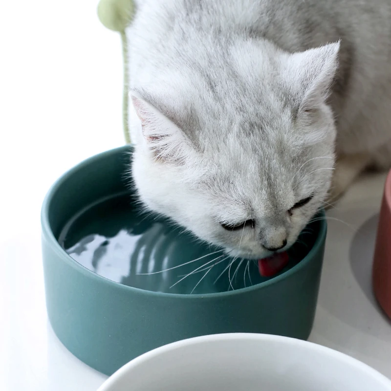 
Cat Dog Pet bowl Colorful Ceramic Bowl Food Feeder With Bamboo Fiber Frame 