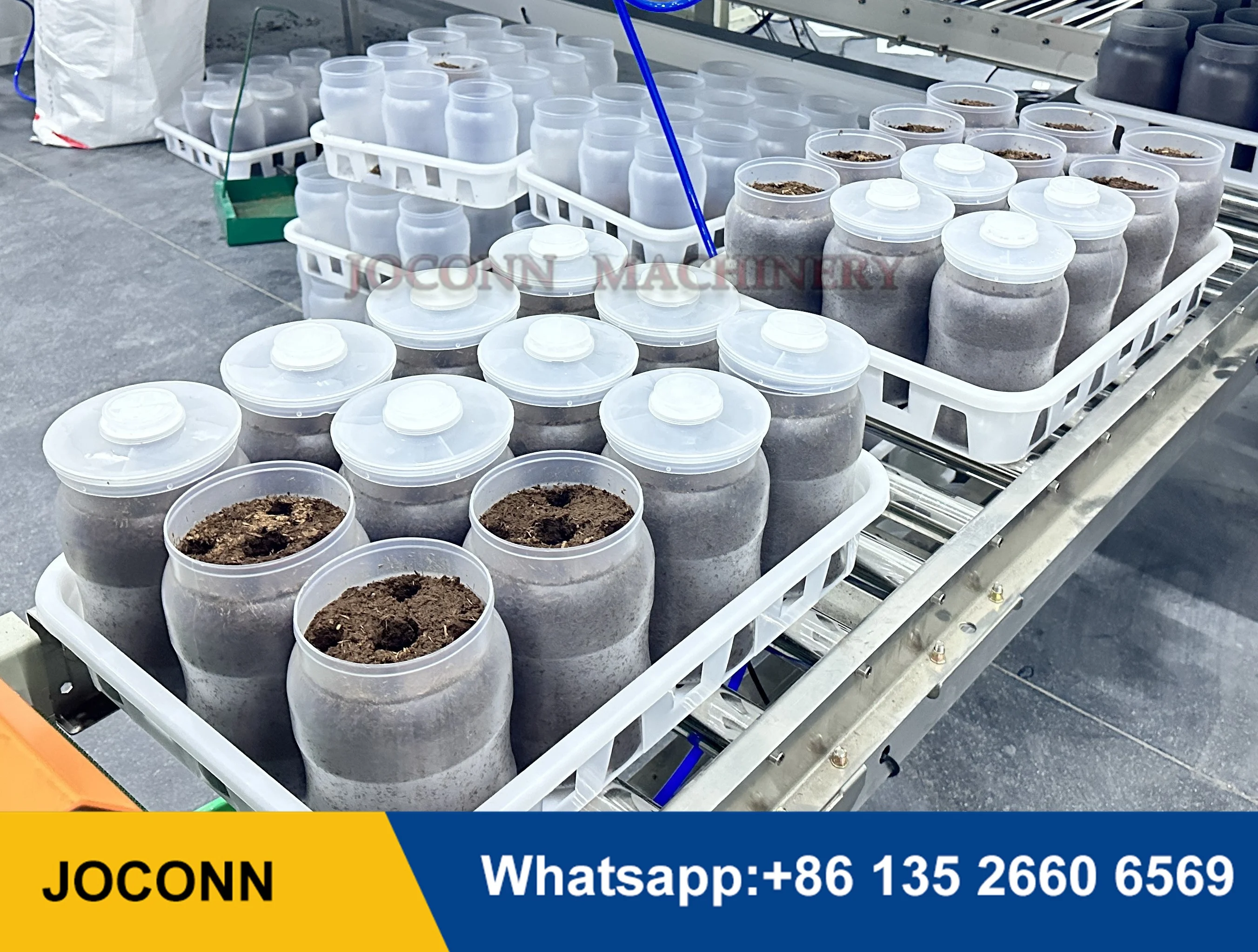 Mushroom growing bottle edible fungus enoki mushroom cultivation bottle PP plastic king oyster mushroom grow bottles