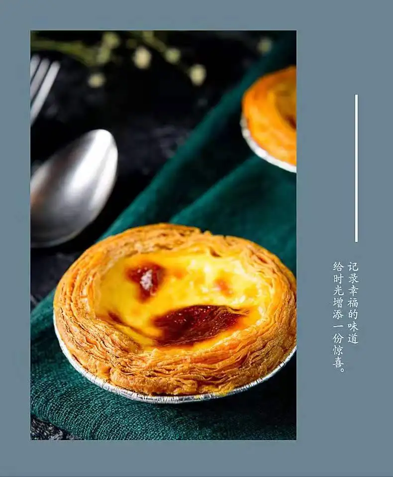 Small 14L household baking electric grill