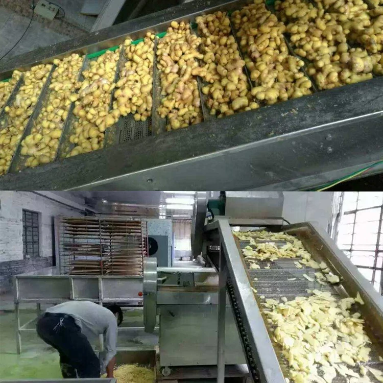 High Quality Ginger onion garlic carrots vegetables cleaning cutting slicing machine