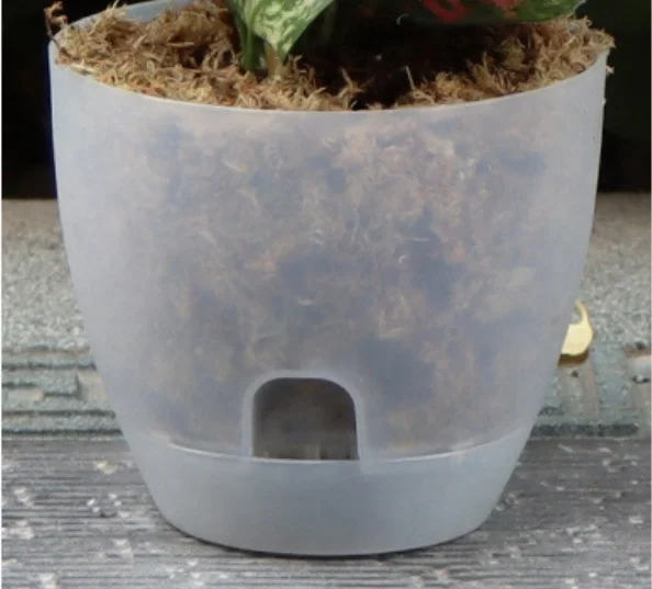 Clear Self Watering Pots for Indoor Plants Plastic Transparent Orchid Plant Pots with Drainage Holes