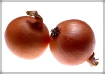 
Chinese exporters fresh market prices red onion for importers and buyers wholesale 