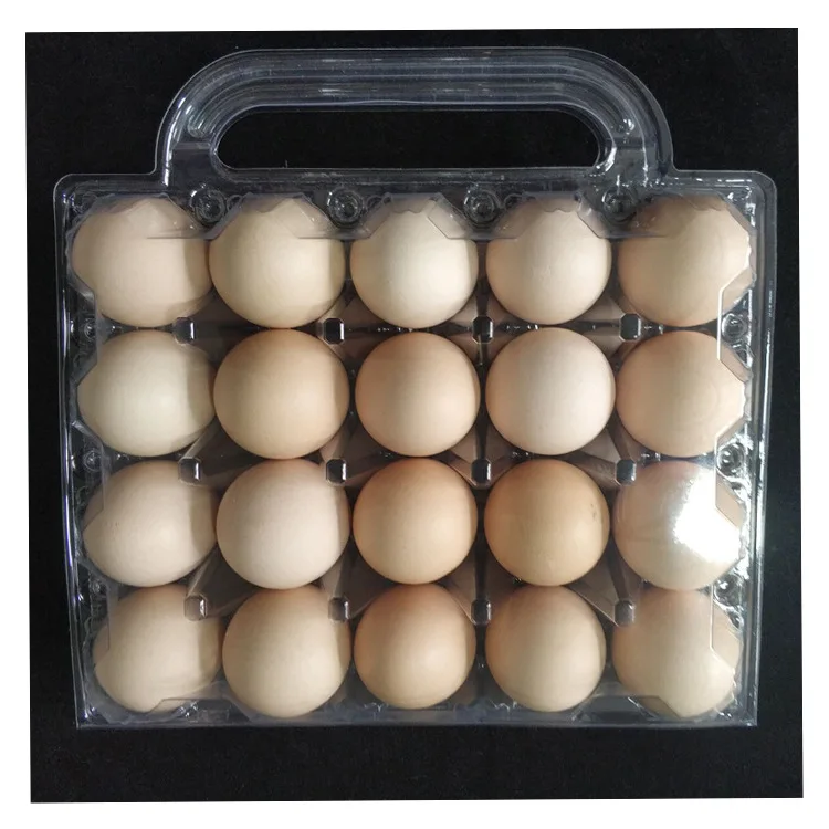  20 cells plastic eggs trays with