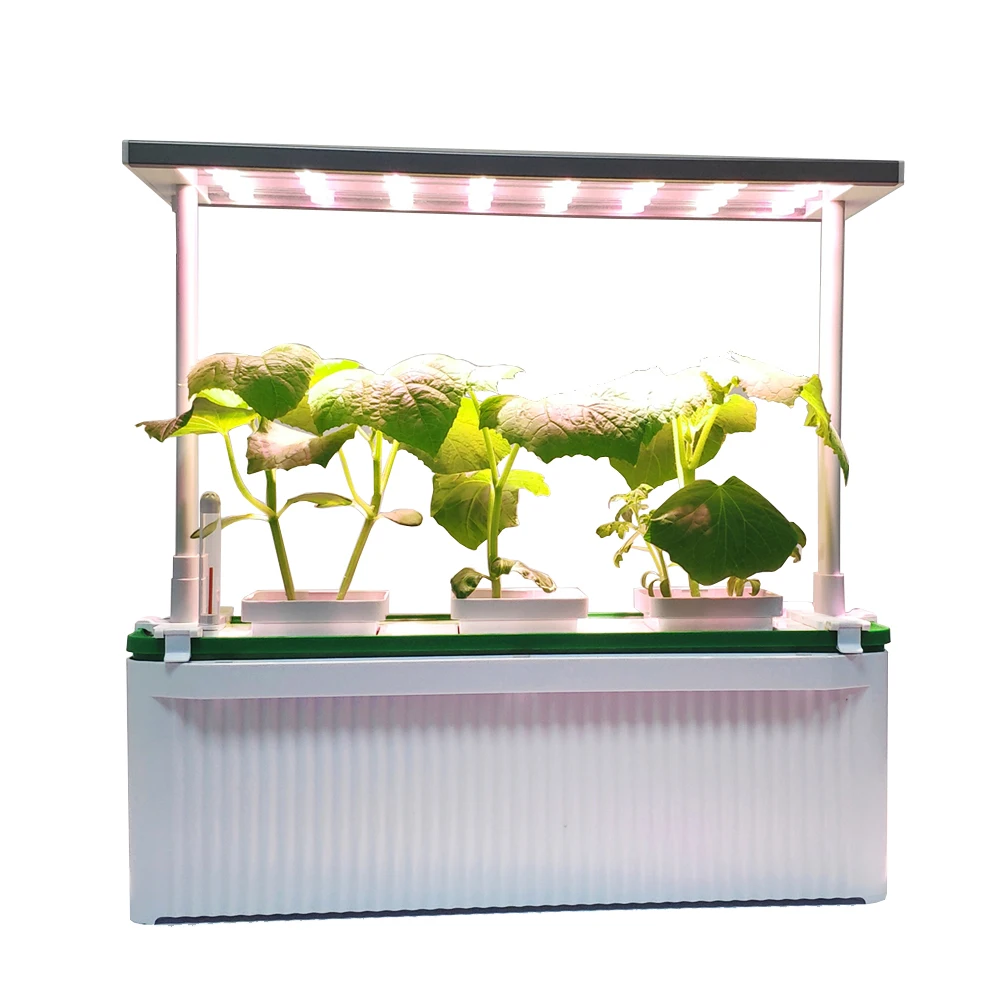 RY Healthy life indoor pot hydroponic flower pot with led growing light flowerpot herb planter pots hydroponic grow system kit