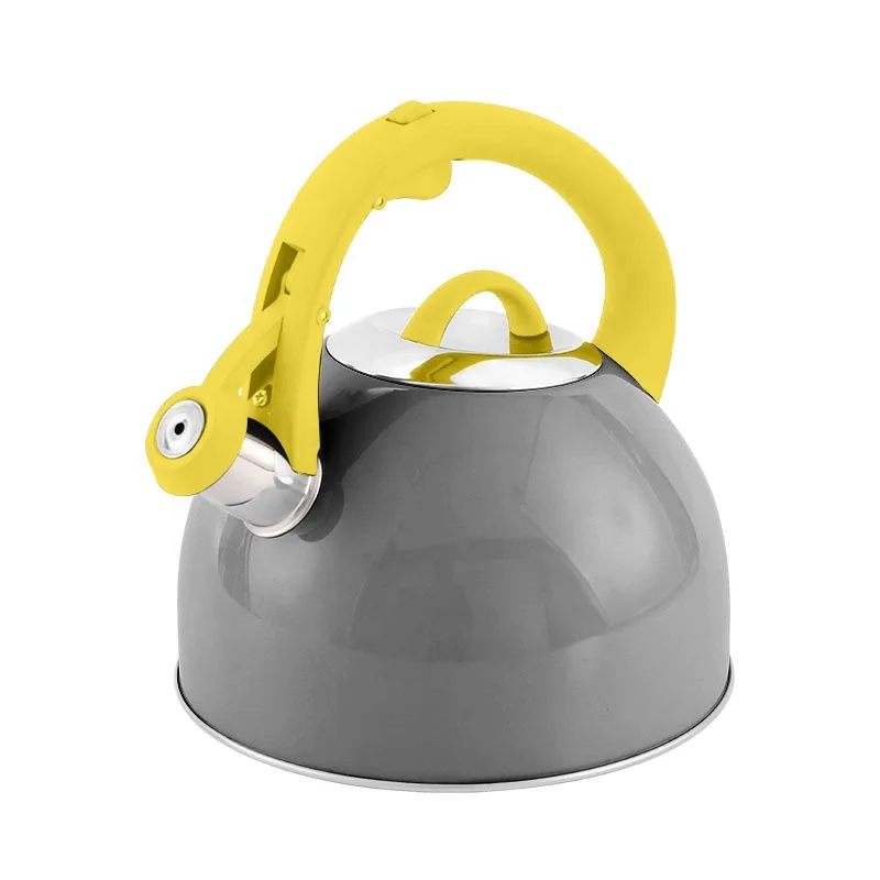 fashionable design    whistle kettle  water kettle factory supply good price