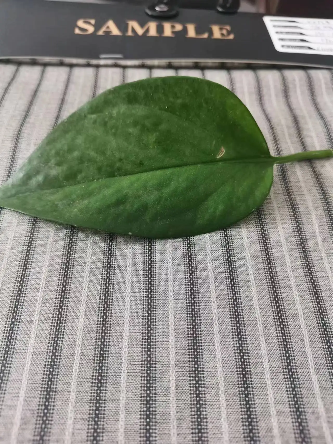 New Design Soft Hand Fee T/R Blended Yarn Dyed Jacquard Fabric for Overcoat Garment