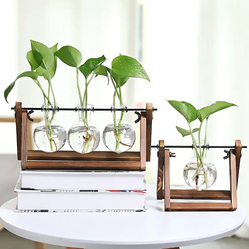 Air plant terrarium hydroponics plants desktop glass planter bulb glass vase with wooden stand propagation station