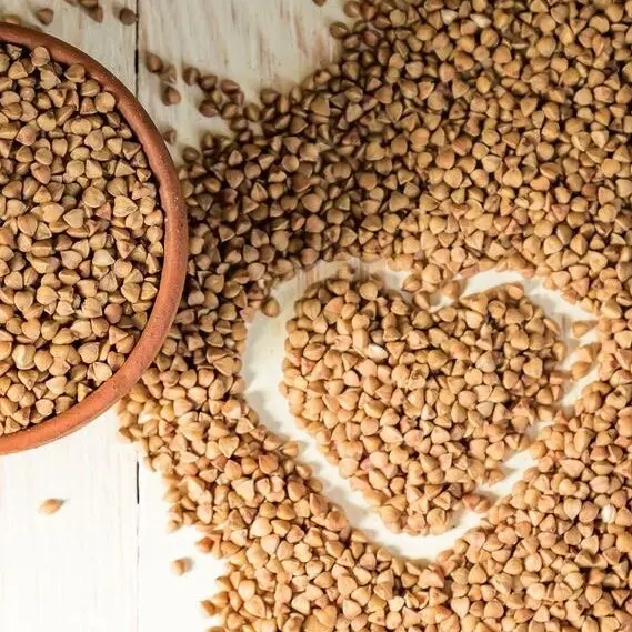 Dry Dog Food OEM pet food for Grain-Free Dry Cat food Chicken