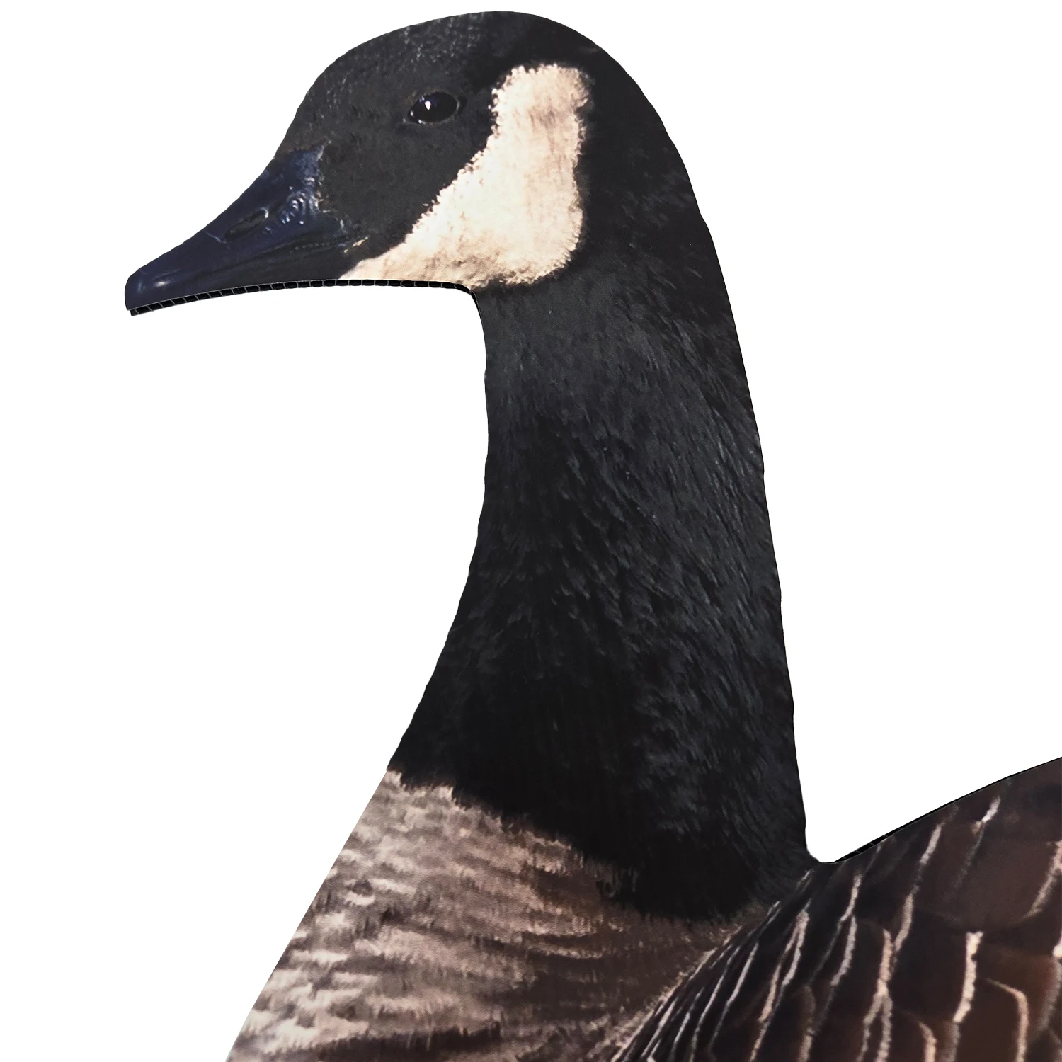 OEM Plastic Lifelike Anti-reflective PP Silhouette Goose Hunting Decoys with Stake