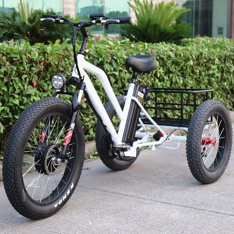 Ristar fat tire 3 wheel electric bicycle with best quality and low price