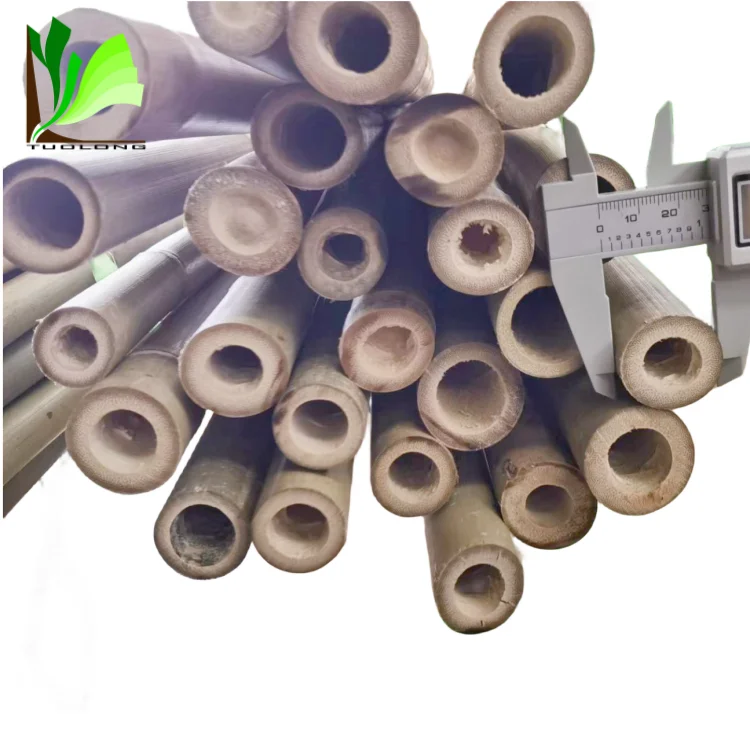 Cheap Natural Tonkin Bamboo Stake Pole