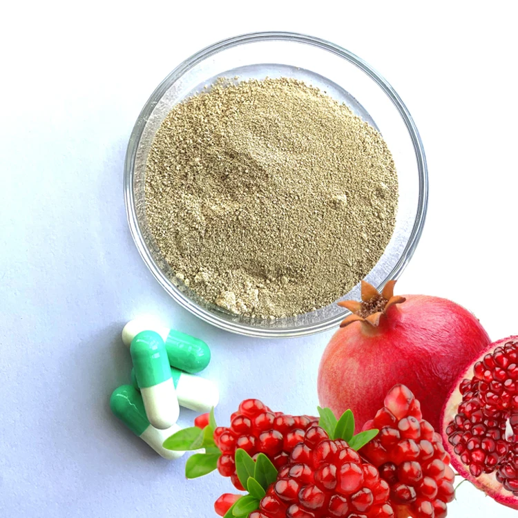 urolithin-a-powder-high-purity urolithin A powder urolithin-A cas no 1143-70-0 Urolithin A Capsules powder