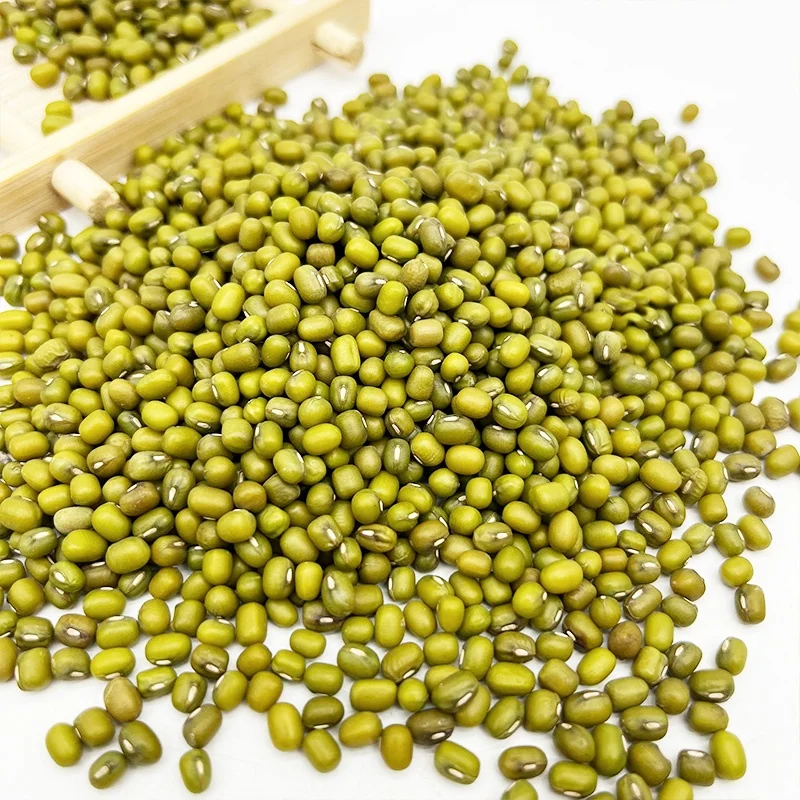 Wholesale Small Size 2.6mm-3.5mm High Quality Green Vigna Mung Beans
