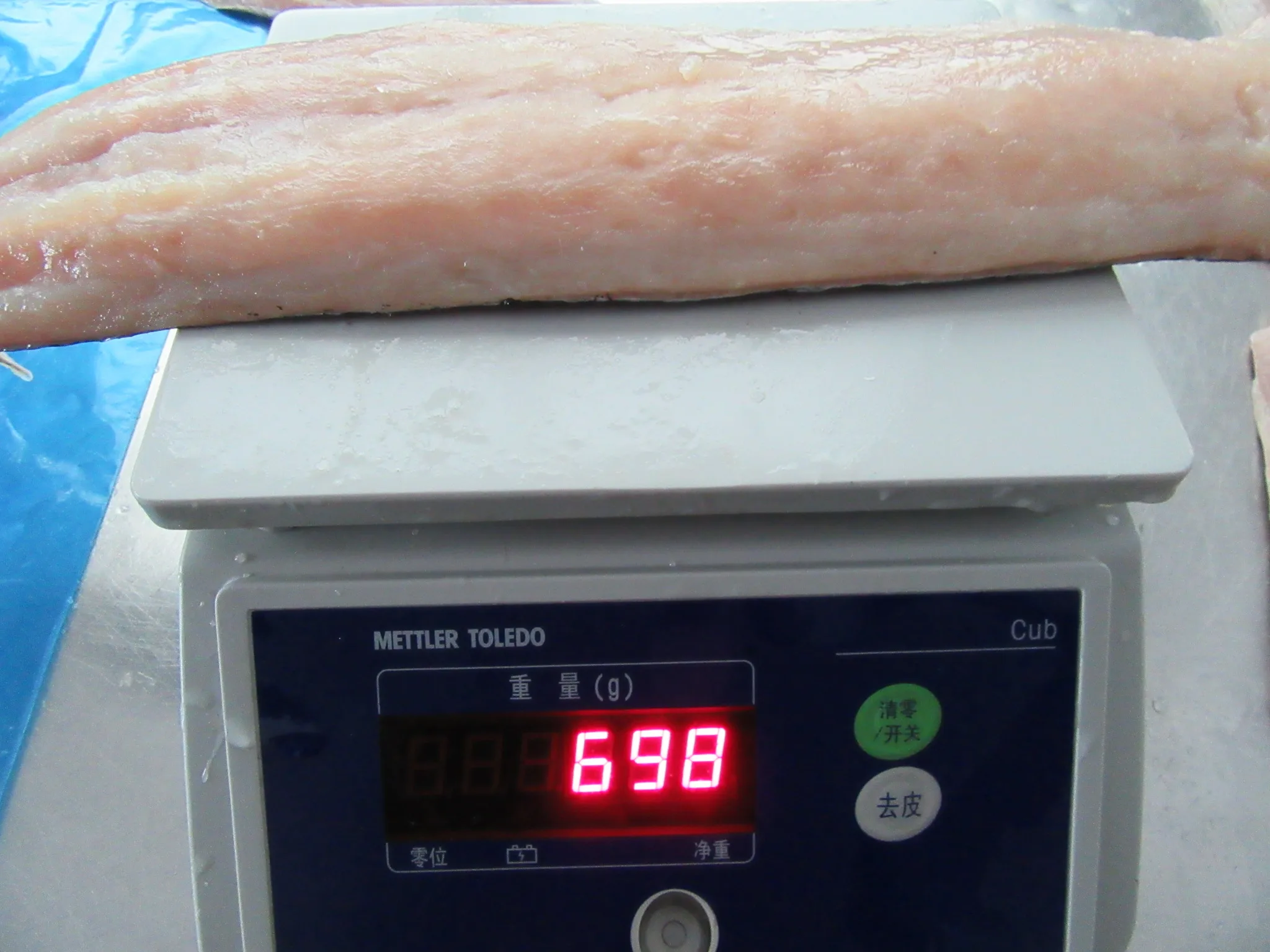 
Frozen Mahi Mahi fillets fish seafrozen IQF for market 